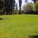 Campo-futbol