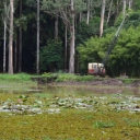 dragagem-lago-feena